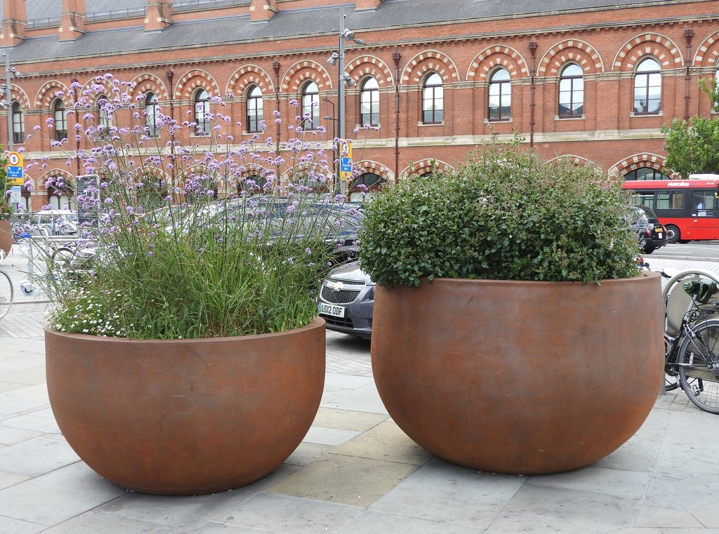  Large Planters by oldjosh