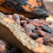Cocoa beans by leonbuys83