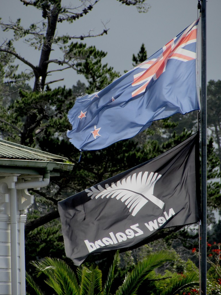 NZ flag by Dawn