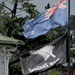 NZ flag by Dawn