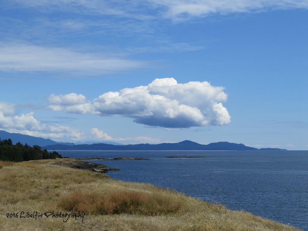 Helliwell Parks, Hornby Island by kathyo