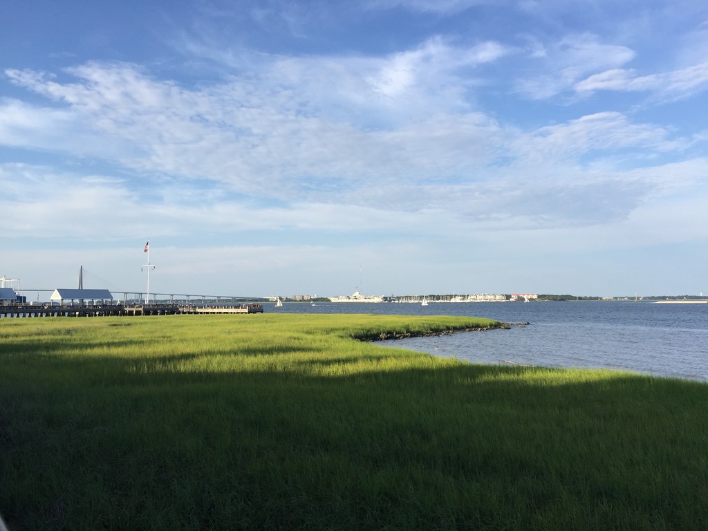 Charleston Harbor at Waterfront Park by congaree