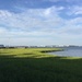 Charleston Harbor at Waterfront Park by congaree