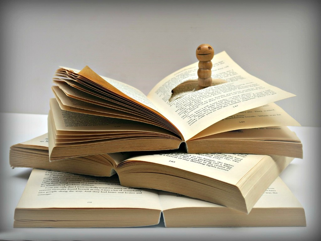 Bookworm. by wendyfrost
