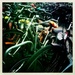 Bike city by mastermek