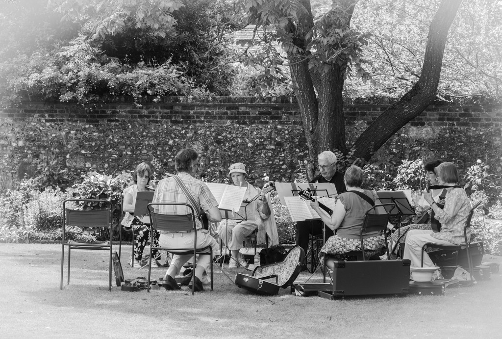 Music in the Gardens by susie1205