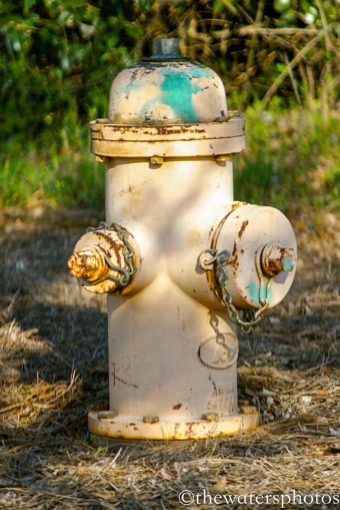 Fire Hydrant by thewatersphotos