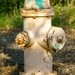 Fire Hydrant by thewatersphotos
