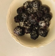 24th Jul 2016 - A few blackberries, sugared