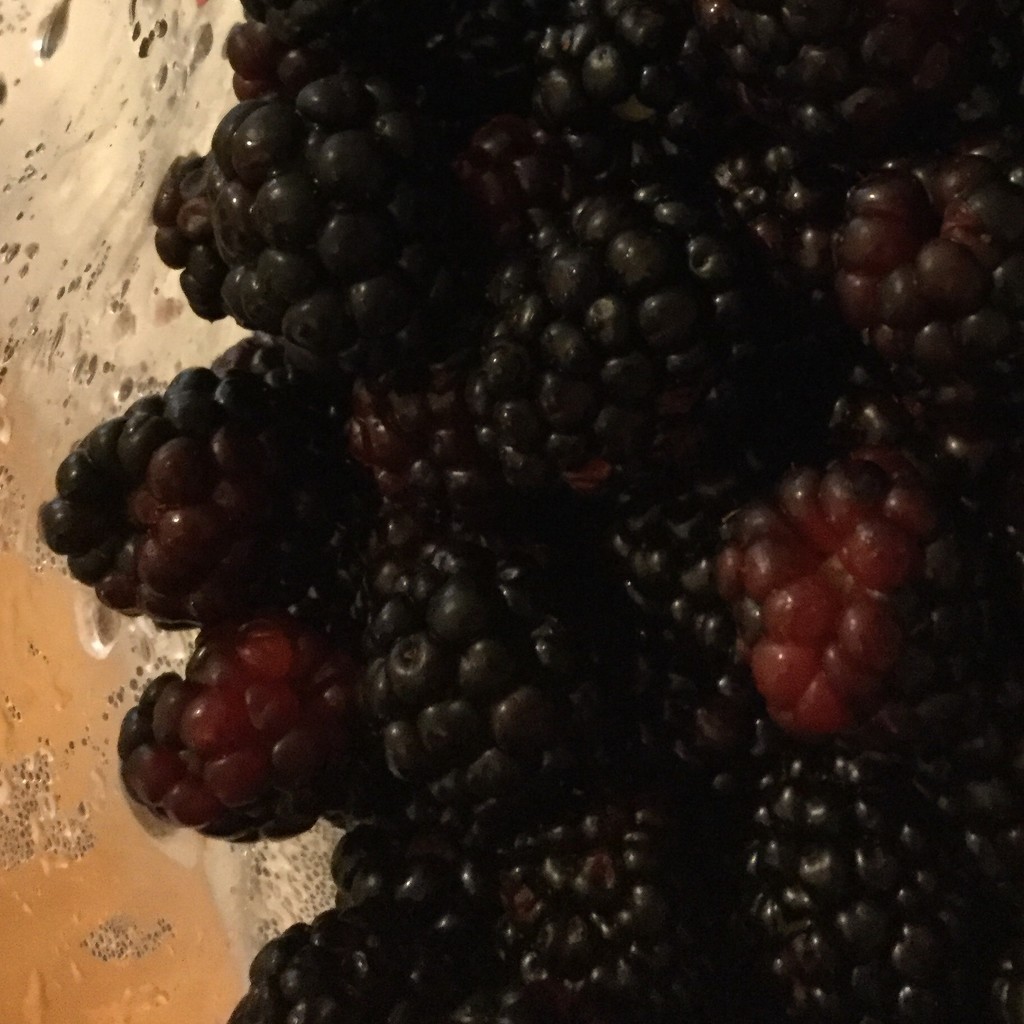 Blackberries by mcsiegle