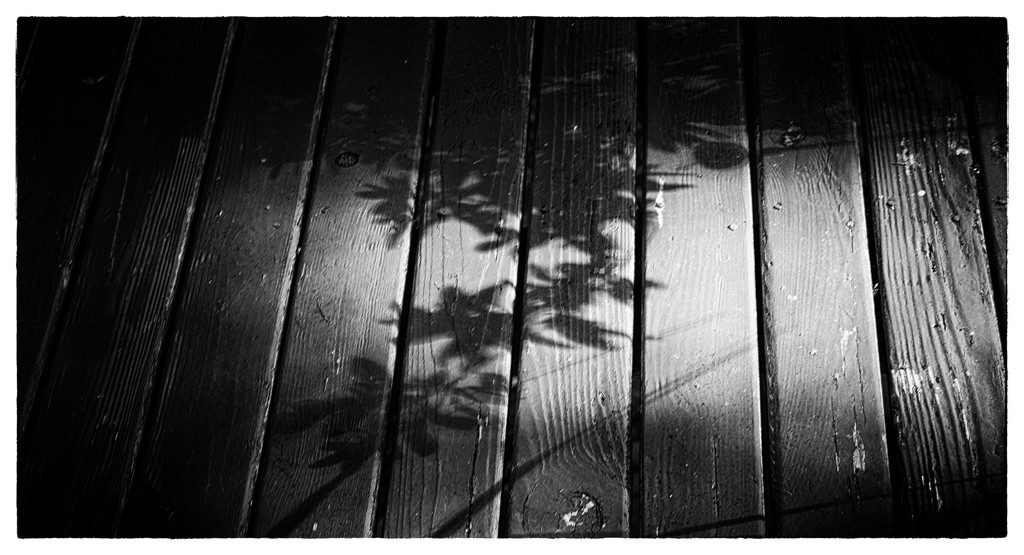 Shadows by nanderson