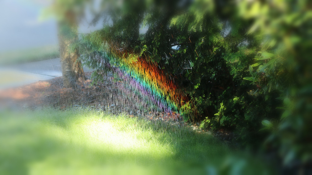 Sprinkler Rainbow by nanderson