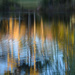 Blurred reflection by jeneurell