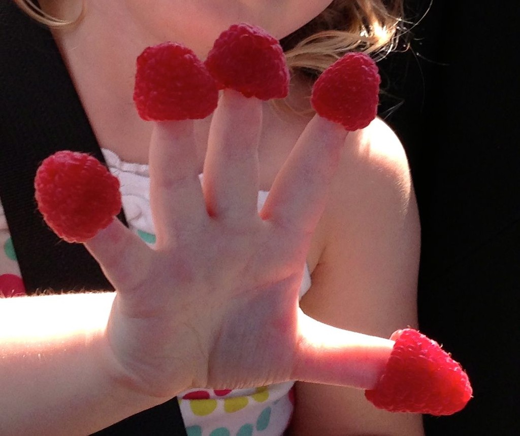 Raspberry Nails by sunnygreenwood