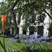 Bloomsbury Square by helenm2016