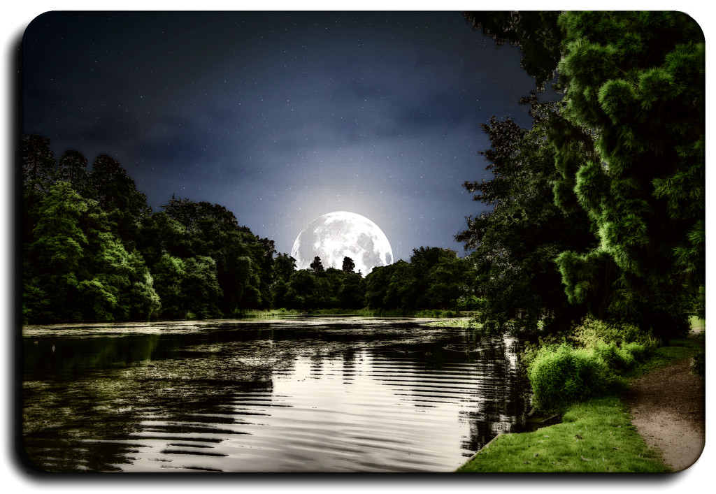 Moonlight Serenade  by stuart46