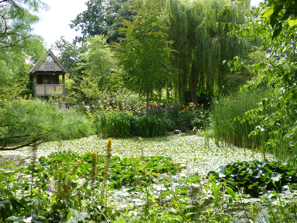 Westonbury Mill Water Gardens by susiemc