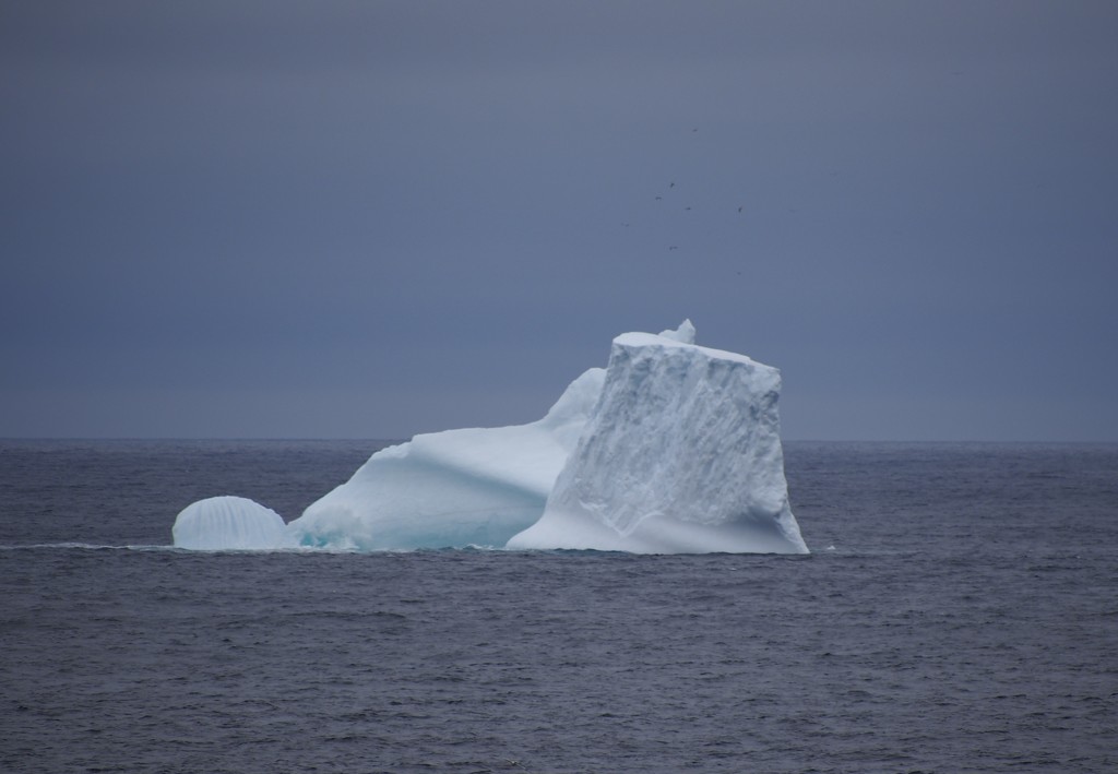 Iceberg! by selkie