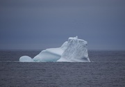 11th Jun 2016 - Iceberg!