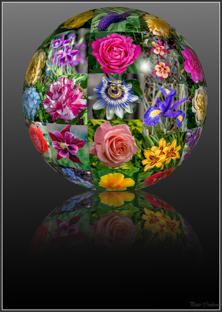 Garden Bauble by pcoulson