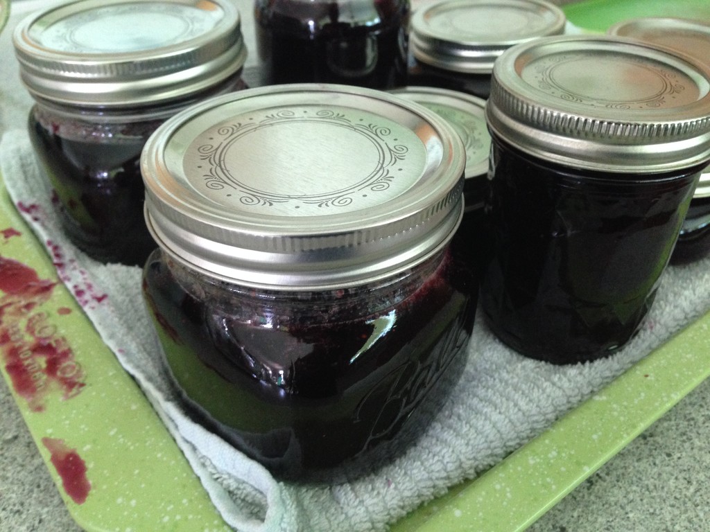 finished jam by wiesnerbeth