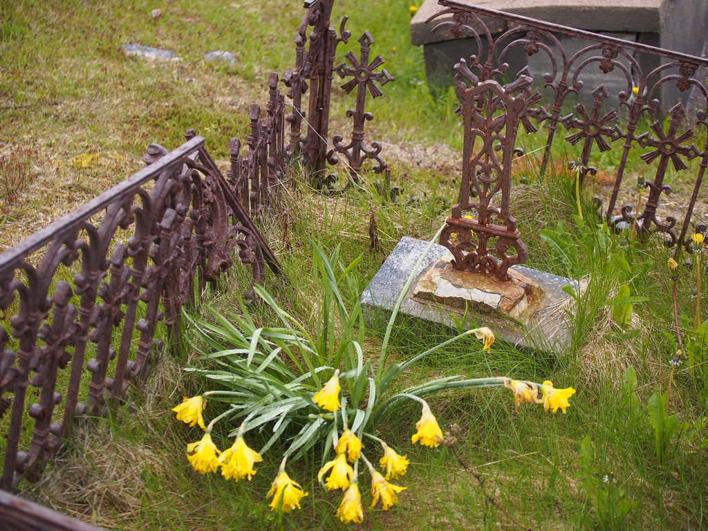 Neglected Grave by selkie
