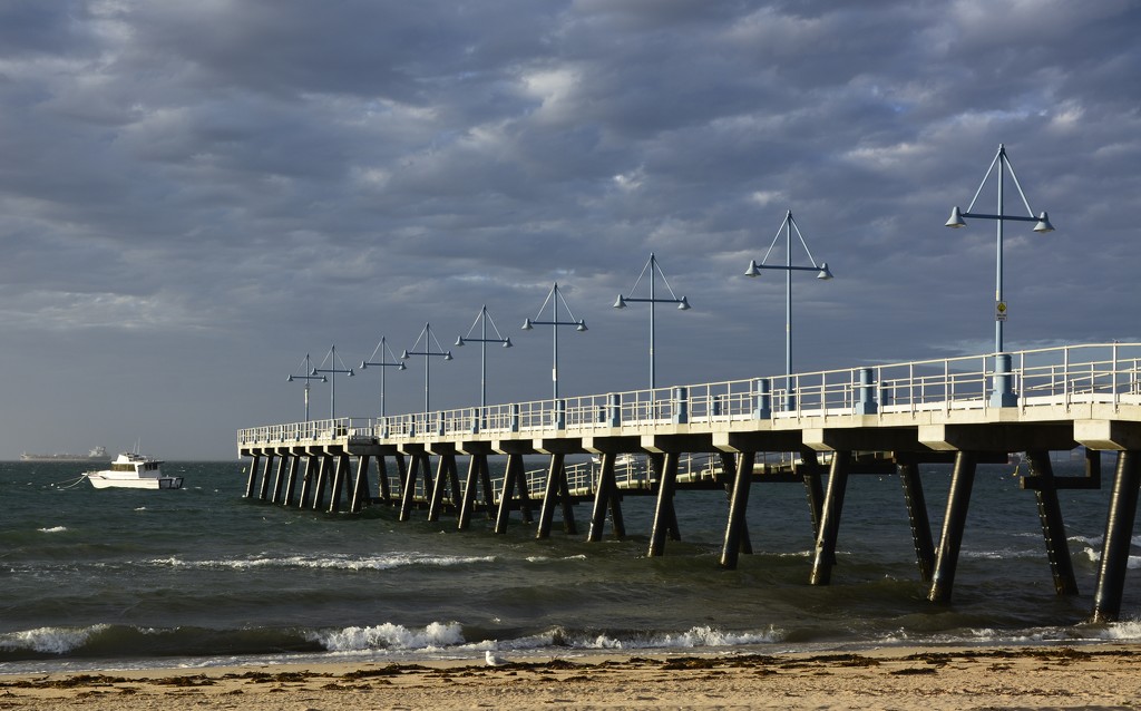 Late Afternoon On Light On Palm Beach Jetty_DSC8654 by merrelyn