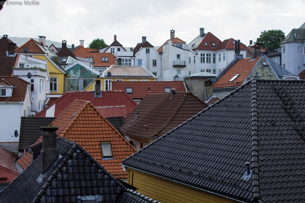 Rooftops by clearday