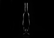 28th Jul 2016 - (Day 166) - Wine in a Bottle