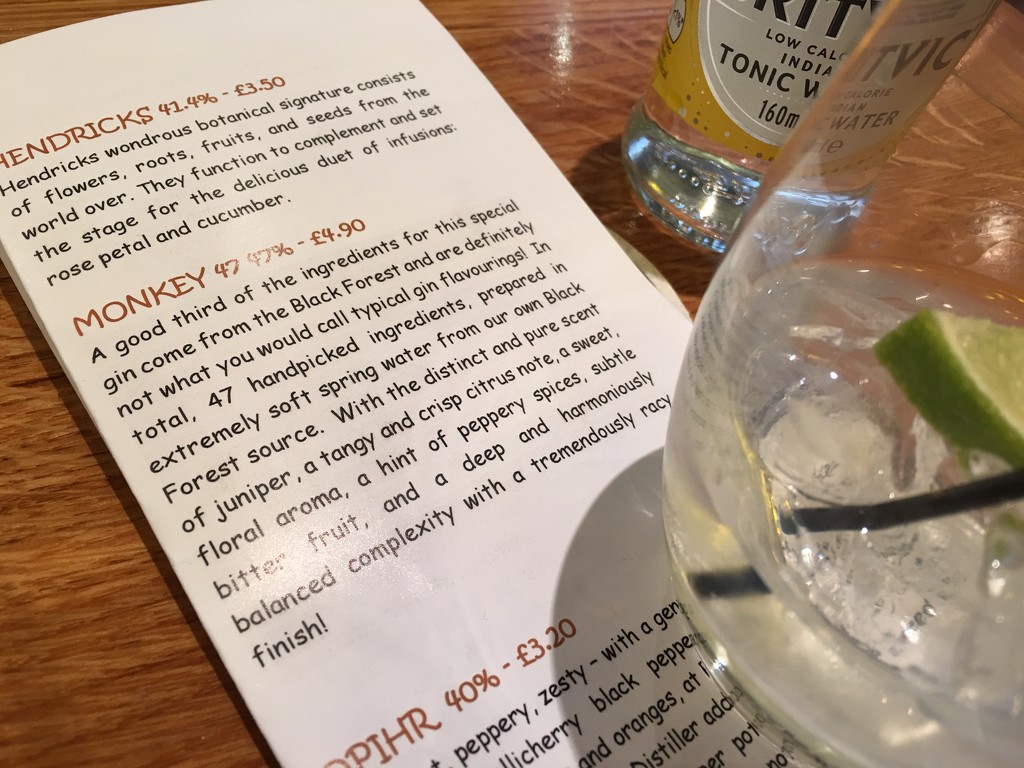 Gin tasting 😀 by bizziebeeme