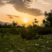 Sunset in Haiti (Haiti Series) by cjoye