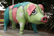 30th Jul 2011 - Pigs Gone Wild Ipswich
