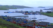 30th Jul 2016 - Scalloway Harbour