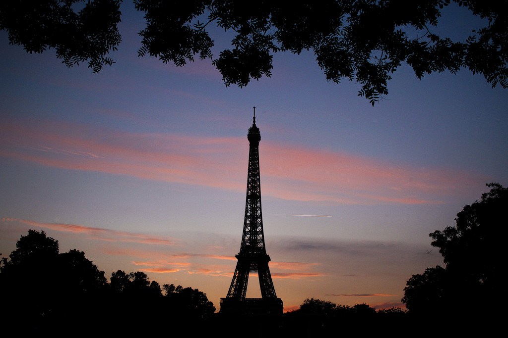 Eiffel Tower by erinhull