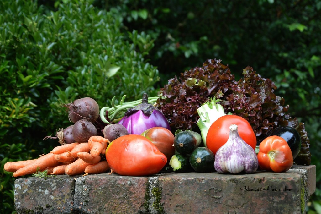 fresh vegetables by parisouailleurs