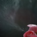 Outburst ~1# - bursting soap bubbles by ziggy77