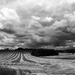 Storm clouds over the harvest.  by 365projectdrewpdavies