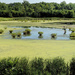 Watershed Nature Center Panorama by lsquared