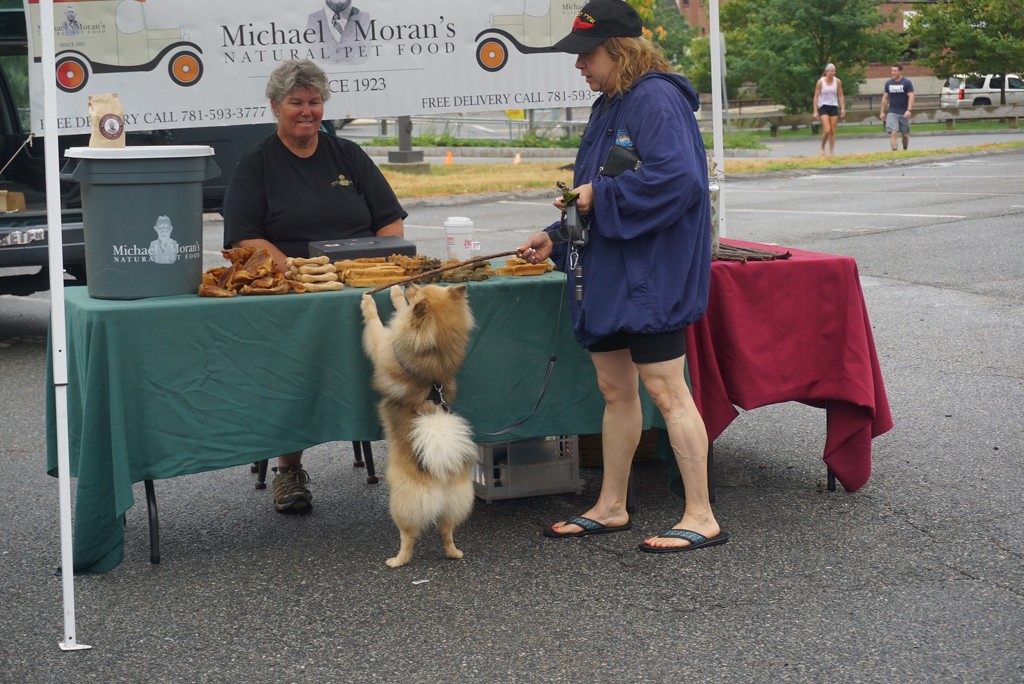 The Farmers Market Has Gone to the Dogs by allie912