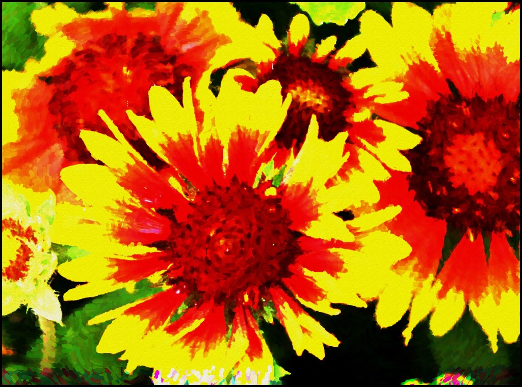 Flower Impressions by olivetreeann