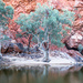 Ormiston Gorge by pusspup