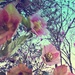 Spring sprung  by studiouno