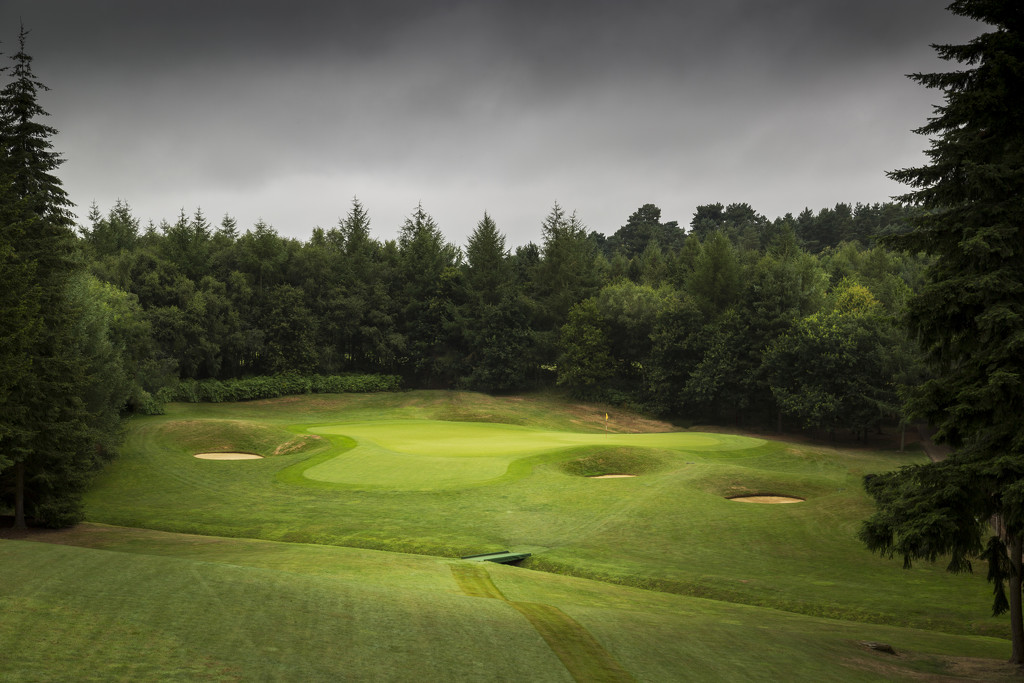 Day 211, Year 4 - The 14th Green At Woburn  by stevecameras