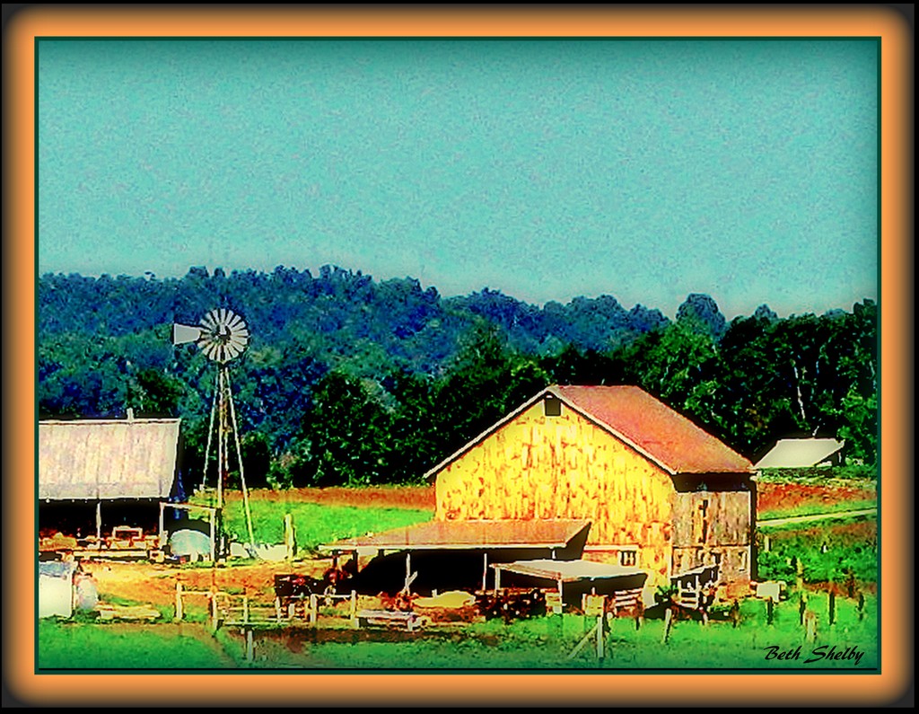 Amish Farm by vernabeth