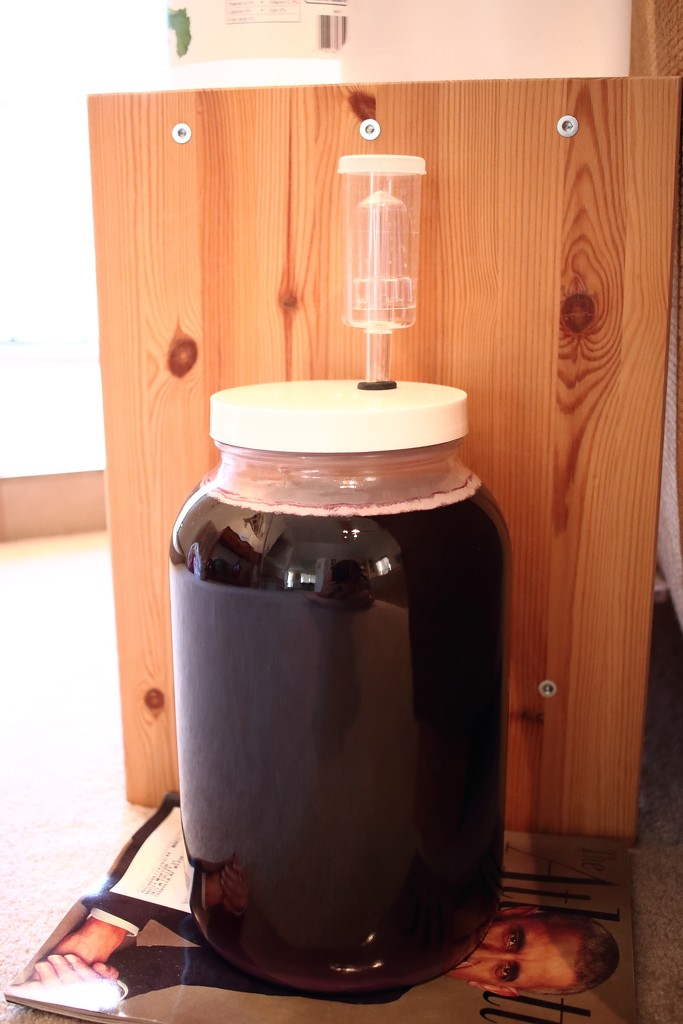 my attempt at wine making by blueberry1222