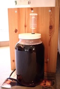 31st Jul 2016 - my attempt at wine making