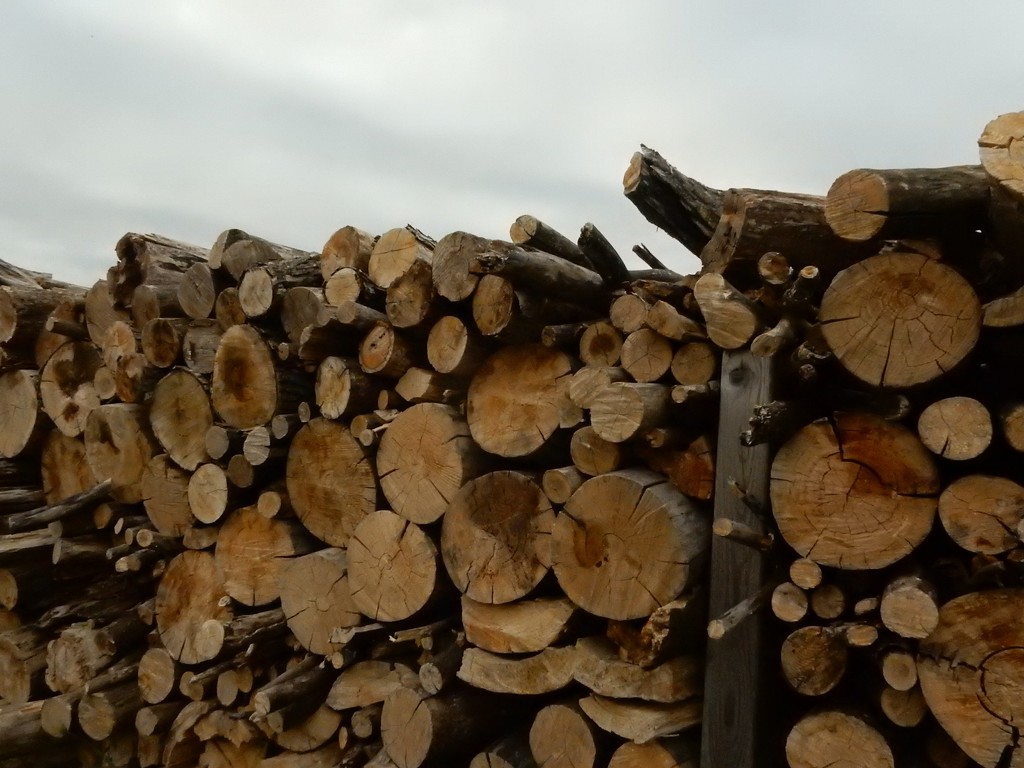 Woodpile by mcsiegle