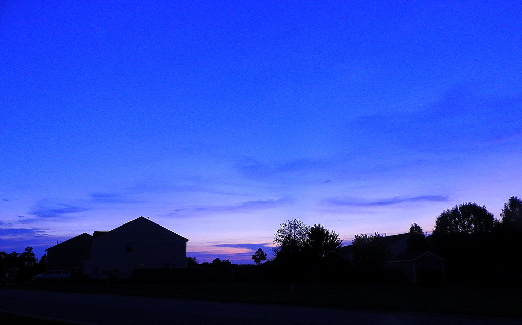 Very Blue Hour by homeschoolmom