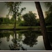 Reflections at a Quiet Pond by farmreporter