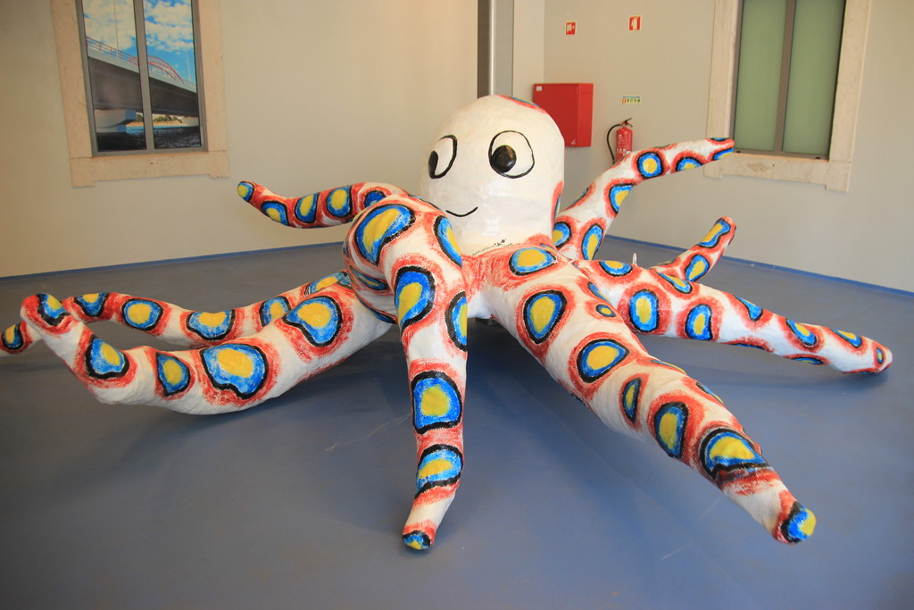 Colourful octopus by belucha